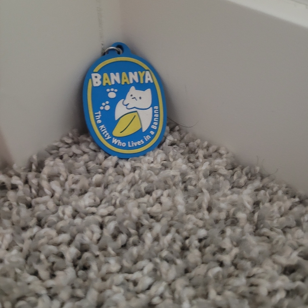 4 for 15 cat banana keychain.